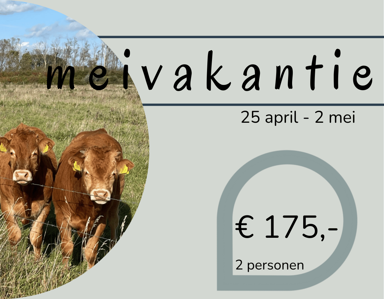 hepi arrangement de knokkert cadzand