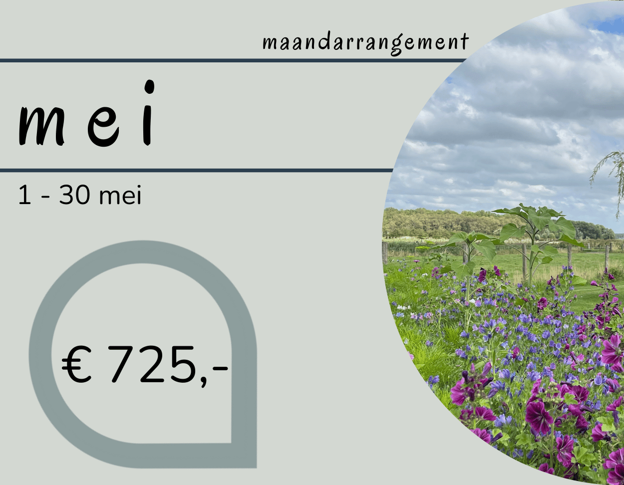 hepi arrangement de knokkert cadzand