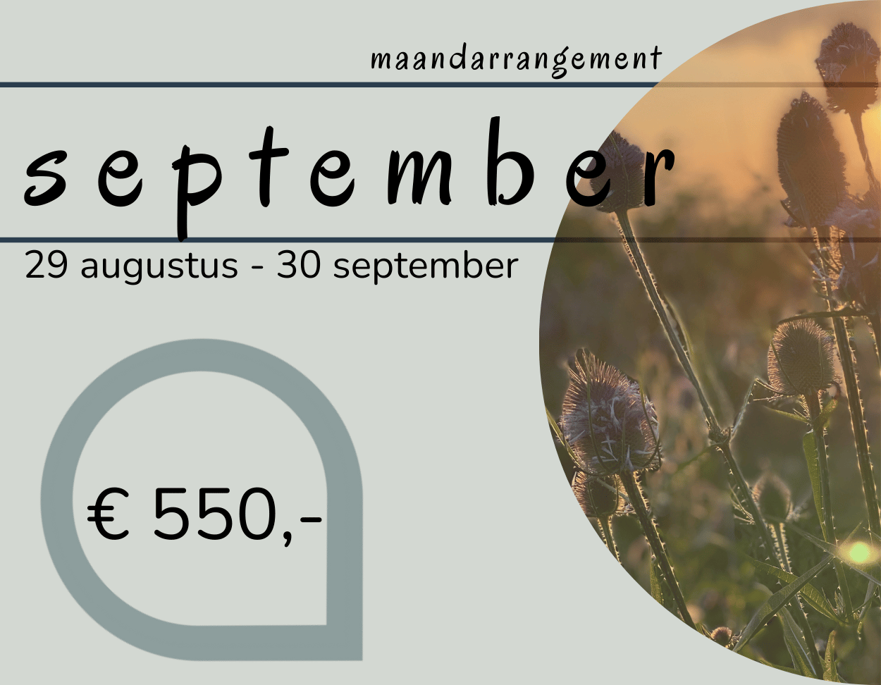 september arrangement de knokkert cadzand